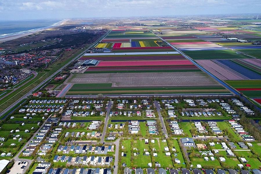 Strandhuis De Zon - Recreatiepark De Watersnip Petten Eksteriør bilde